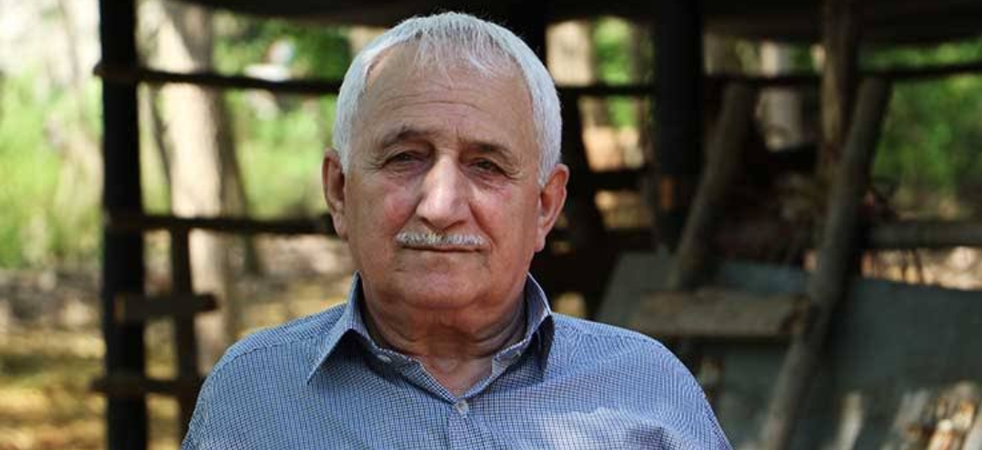 برنج هاشمی چگونه کشف شد؟ داستان تولد معروف‌ترین برنج ایرانی