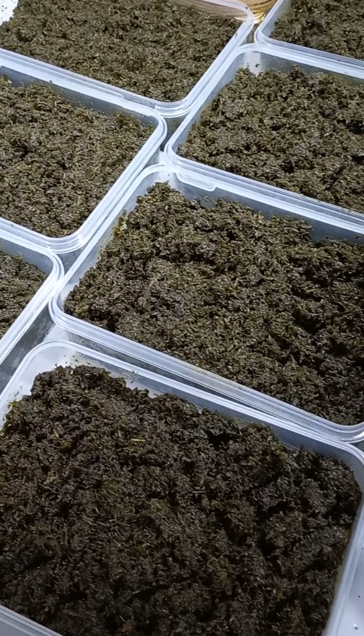 سبزی قورمه گیلان ، محلی _ ظرف ۵۰۰ گرمی