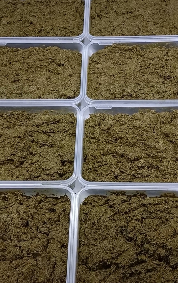 سبزی ترش واش گیلان _ ظرف ۵۰۰ گرمی