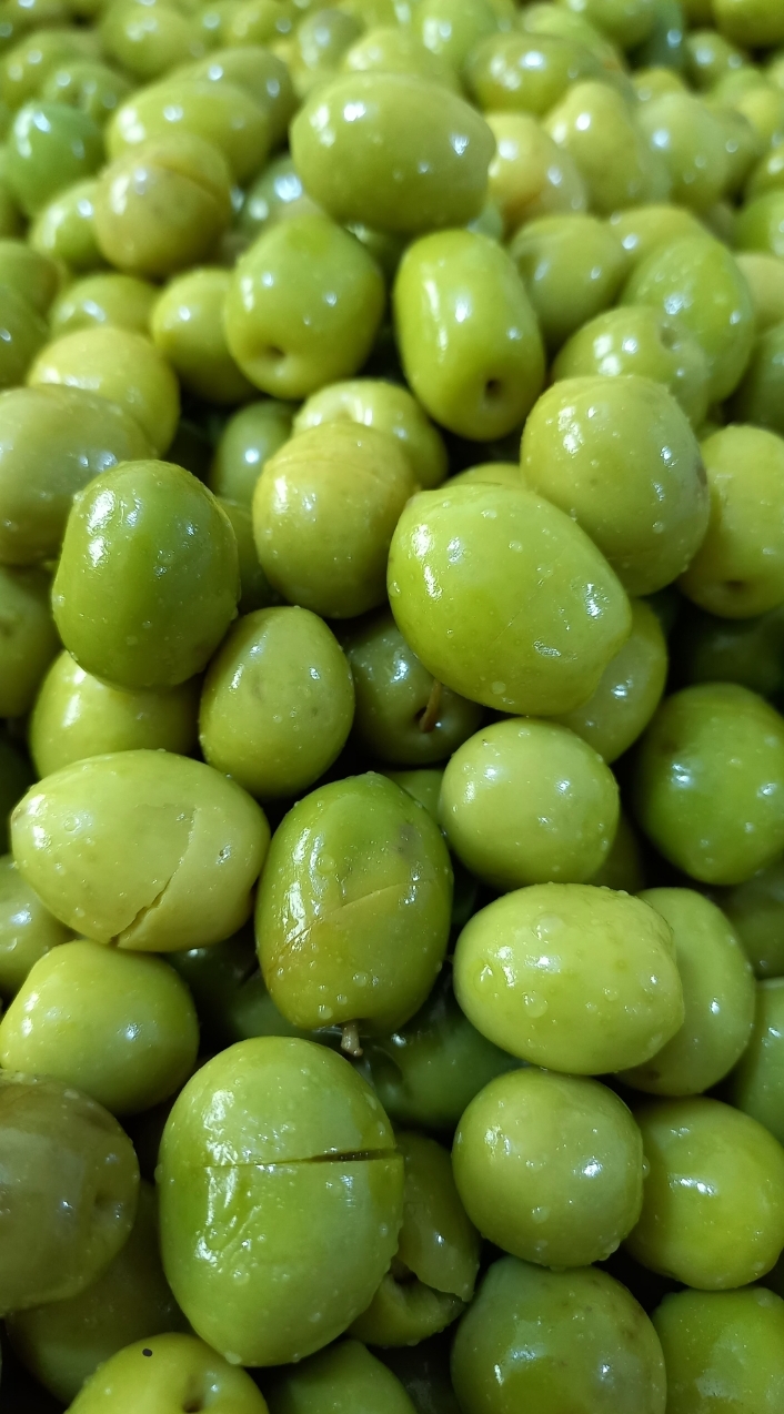 زیتون شکسته رودبار _ ظرف یک کیلو گرمی