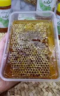 عسل طبیعی و ارگانیک گیلان _ ظرف 600 گرمی (با موم)