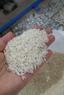 برنج هاشمی گیلان ، سورت شده و درجه یک