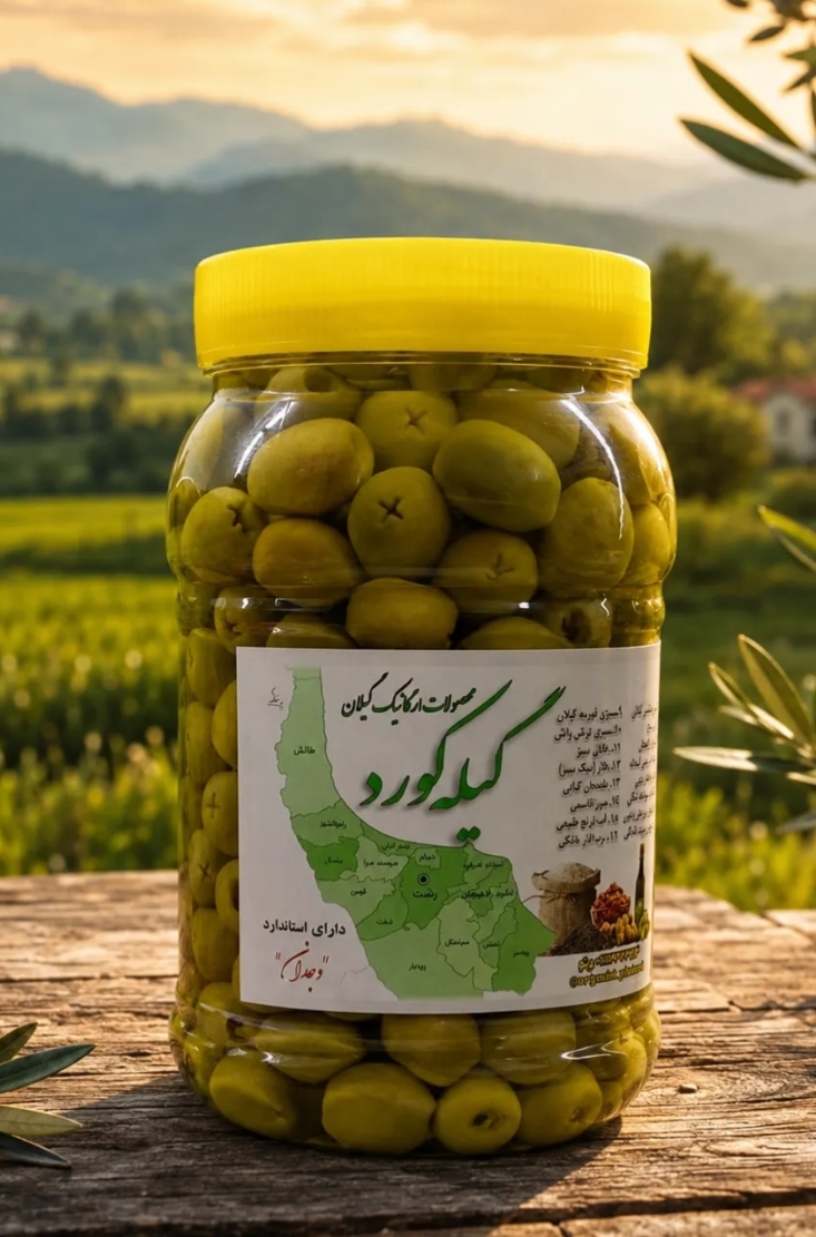 زیتون بدون هسته درشت، رودبار _ ظرف یک کیلویی